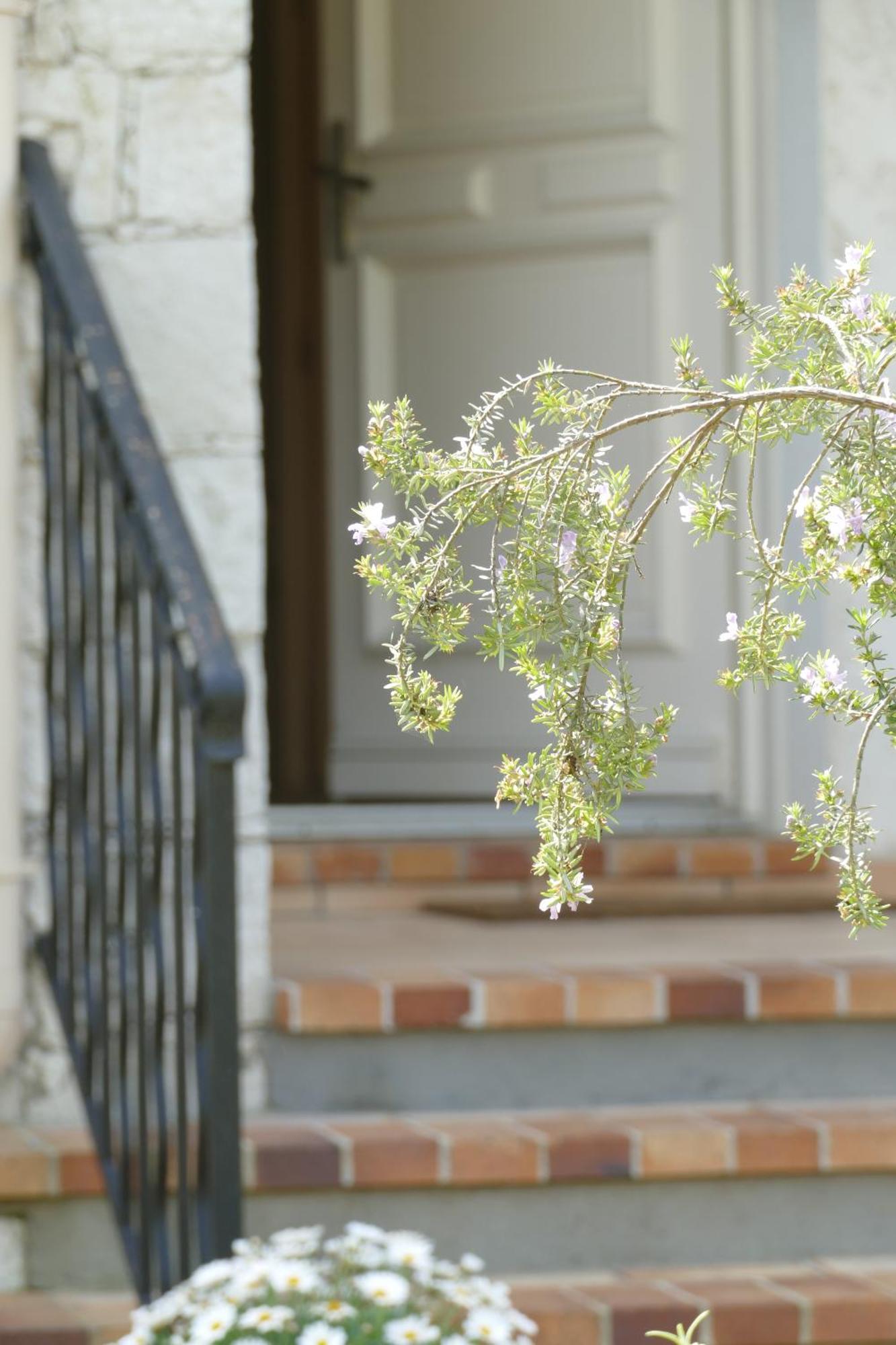 أنتيب Villa Alessia المظهر الخارجي الصورة